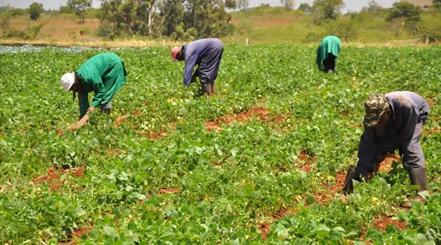 Bayelsa Govt Approves Farming Days For Civil Servants