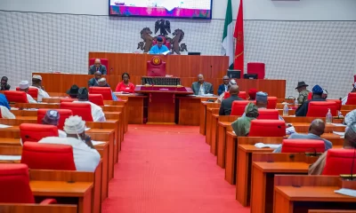 Senate Commence Sitting On Electricity Tariff Hike Probe