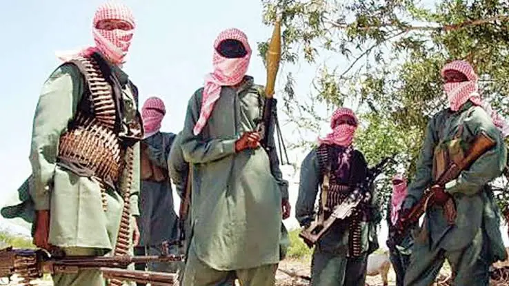 Borno Residents Flee Ancestral Homes As ISWAP Terrorists Issue ‘Leave Or Die’ Notice