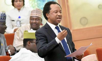 'Nigeria Has Everything God Should Give Her' - Shehu Sani